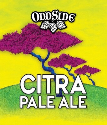 Odd Side Ales Citra Pale Ale (6 PACK)