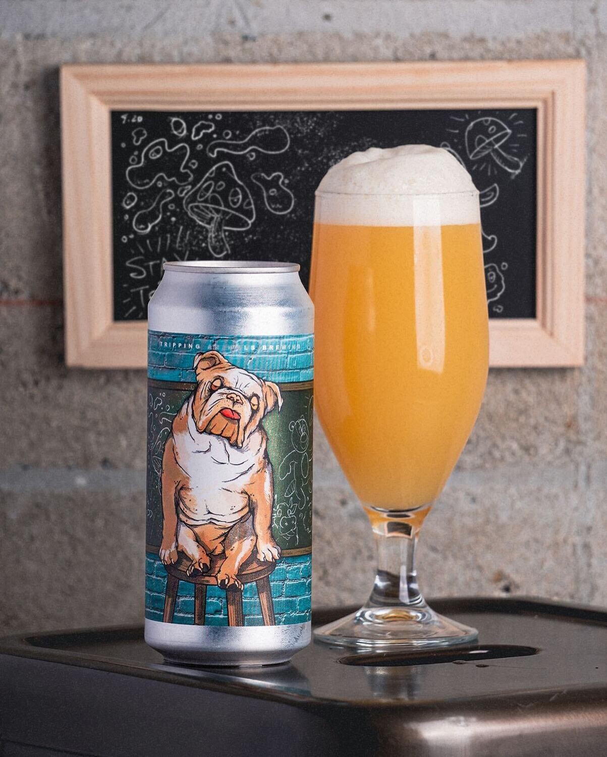 Tripping Animals Brewing Alumni Of The Month IPA (16OZ CAN)