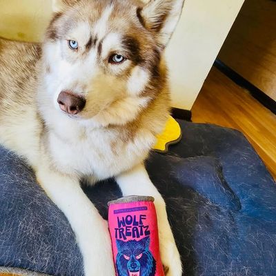 American Solera Wolf Treatz
