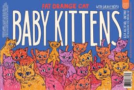 Fat Orange Cat Baby Kittens