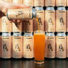 Evil Twin Orange Soda