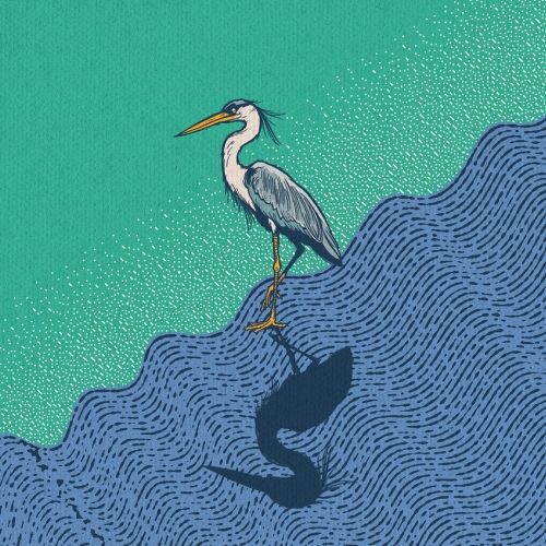 Tripping Animals Rivers and Roots