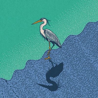 Tripping Animals Rivers and Roots Tripping Animals Rivers and Roots