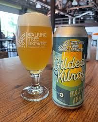 Walking Tree Kilroy Hazy