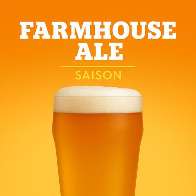 Farmhouse Ale - Saison