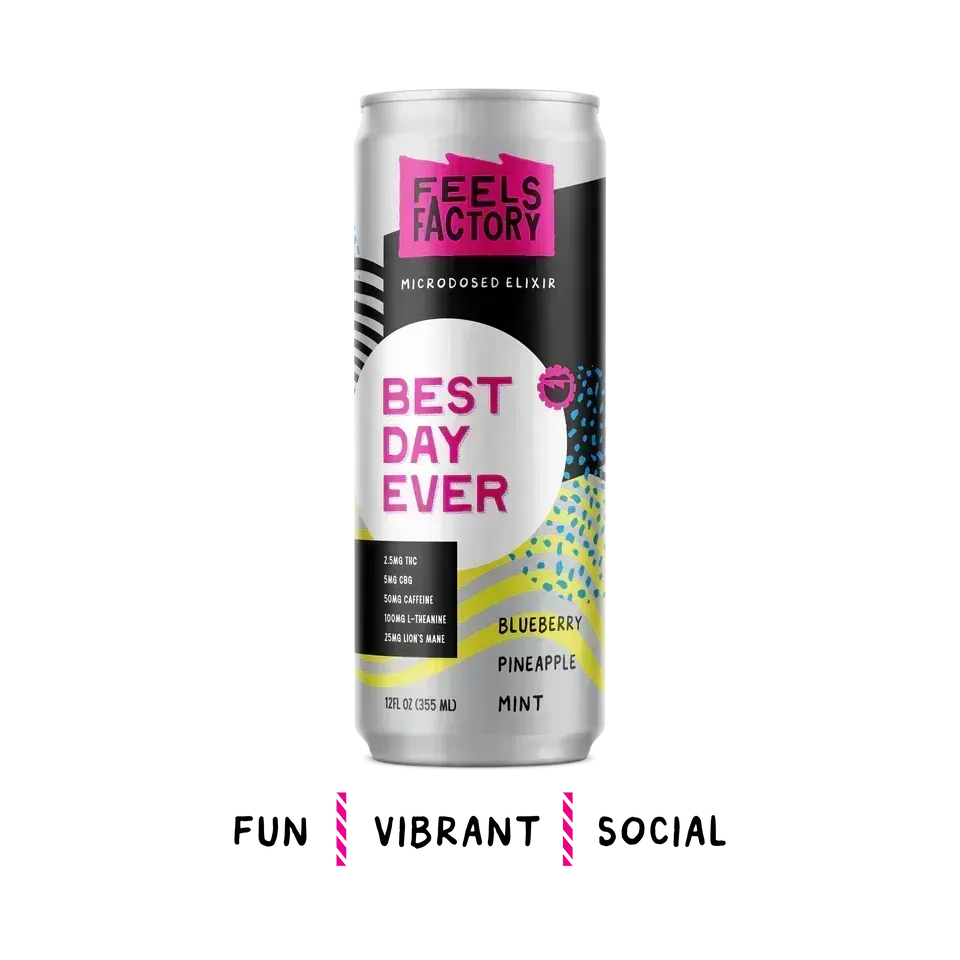 Drekker Feels Factory - Best Day Ever 2.5mg THC 12oz Cans
