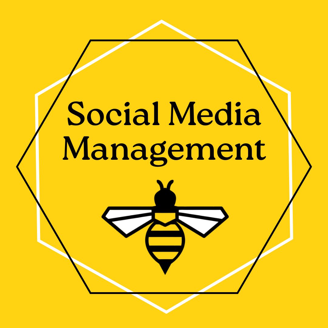 Social Media Management