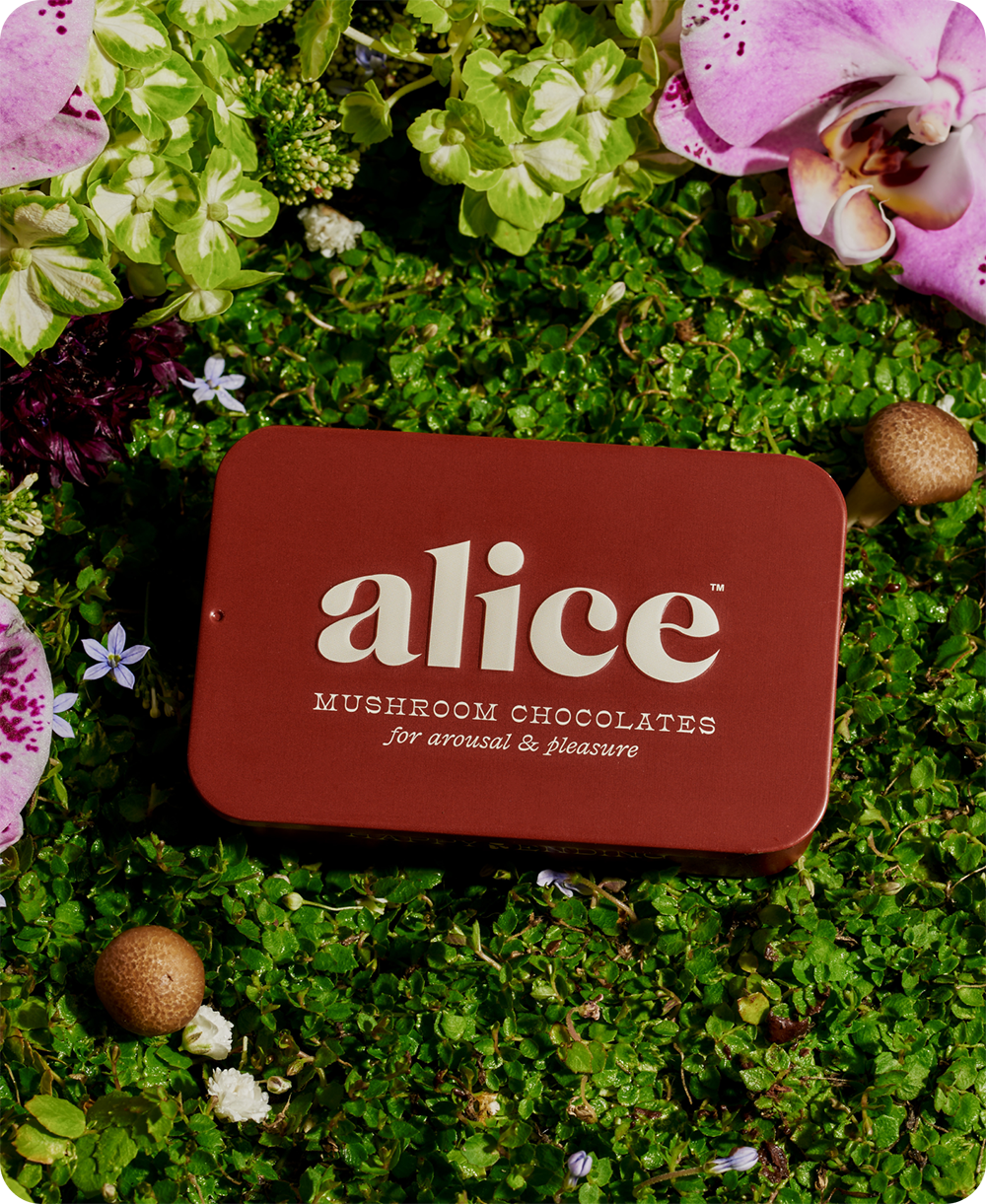 Happy Ending Adaptogenic Mushroom Chocolate