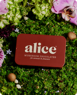 Happy Ending Adaptogenic Mushroom Chocolate