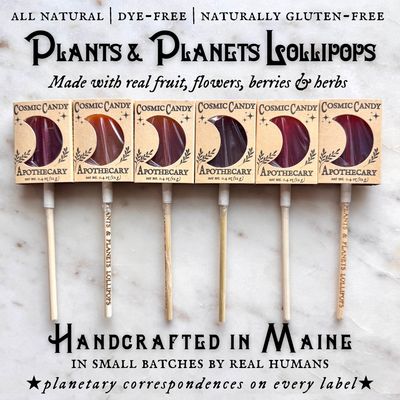 Plants &amp; Planets Lollipops (Assorted)