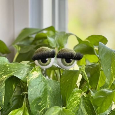 Felted Planter Eyeballs with Eyelashes