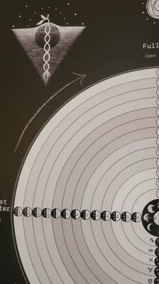 2026 Lunar Cycle Insights Interactive Wall Poster