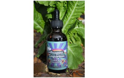 Wild Lettuce Tincture (Alcohol-Free) 2 Fl Oz