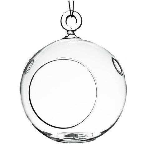Hanging Glass Globe Terrarium