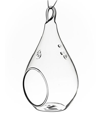 Hanging Teardrop Glass Terrariums