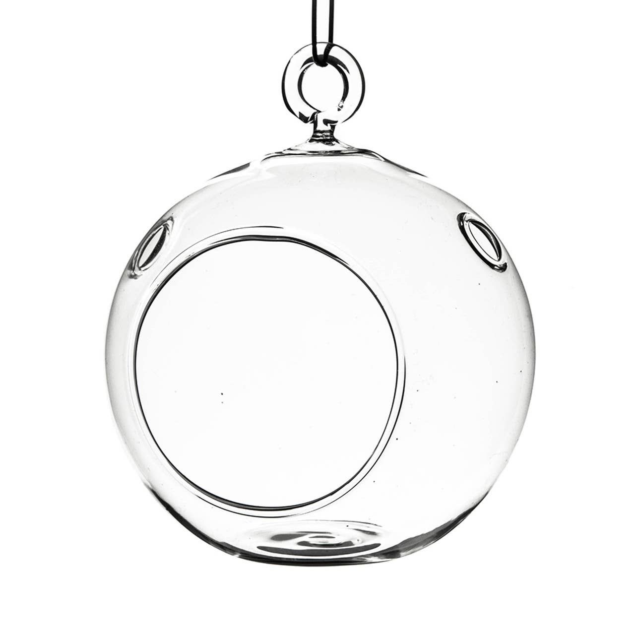 Hanging Round Glass Globe Terrarium