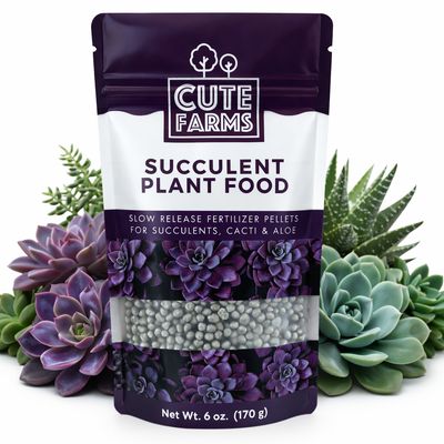 Succulent Slow Release Plant Food 