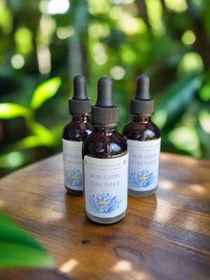 Blue Lotus Herbal Tincture