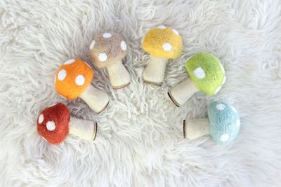 Woodland Mushrooms | Set of 6