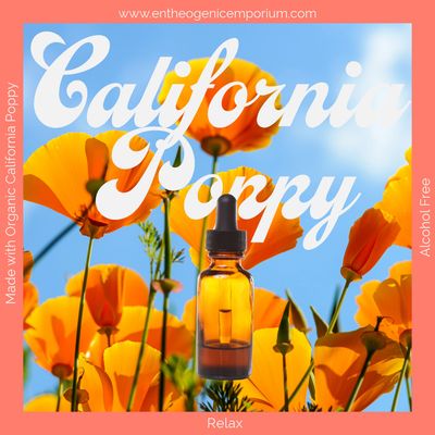 Organic California Poppy Tincture | Alcohol Free