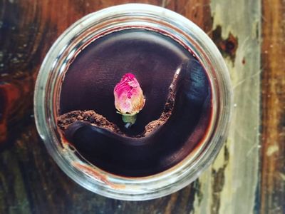 Cacao Ritual Ghee