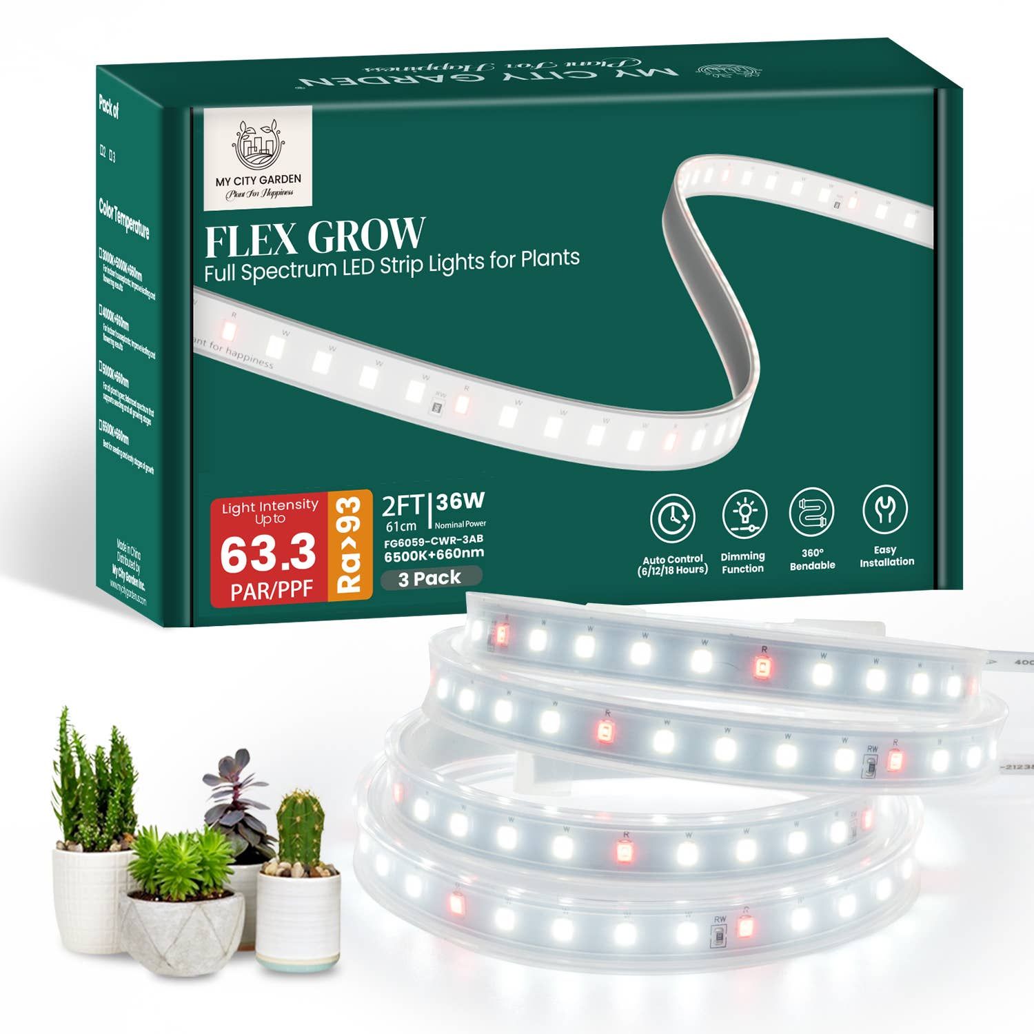 LED Grow Lights for Indoor Succulents