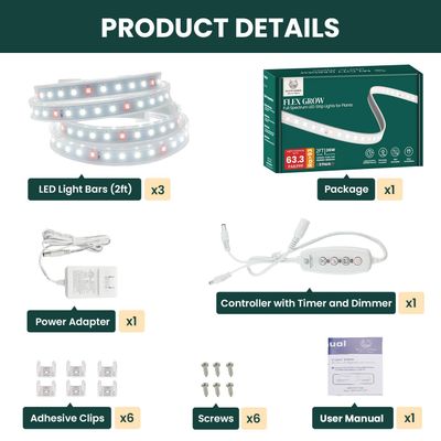 LED Grow Lights for Indoor Succulents