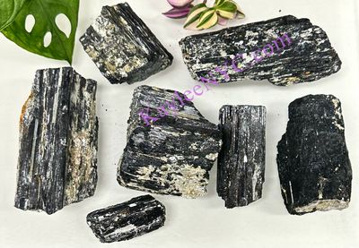 Natural Black Tourmaline with Muscovite Mica Crystal