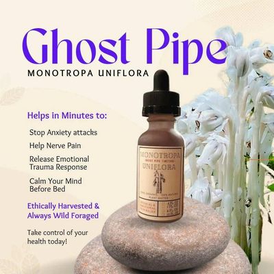 Organic Ghost Pipe Tincture | Monotropa Uniflora