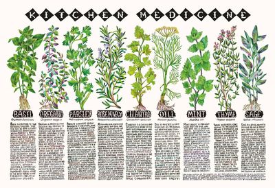 Kitchen Medicine Art Poster