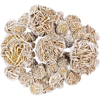 Desert Rose Selenite Cluster
