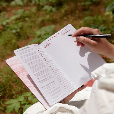 Cyclical Notebook – A Blank &amp; Lined Tracking Journal for Expansionn