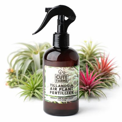 8 oz Tillandsia Air Plant Fertilizer - Gentle Weekly Use