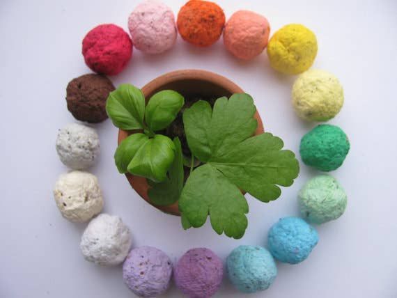 Wildflower Seed Ball