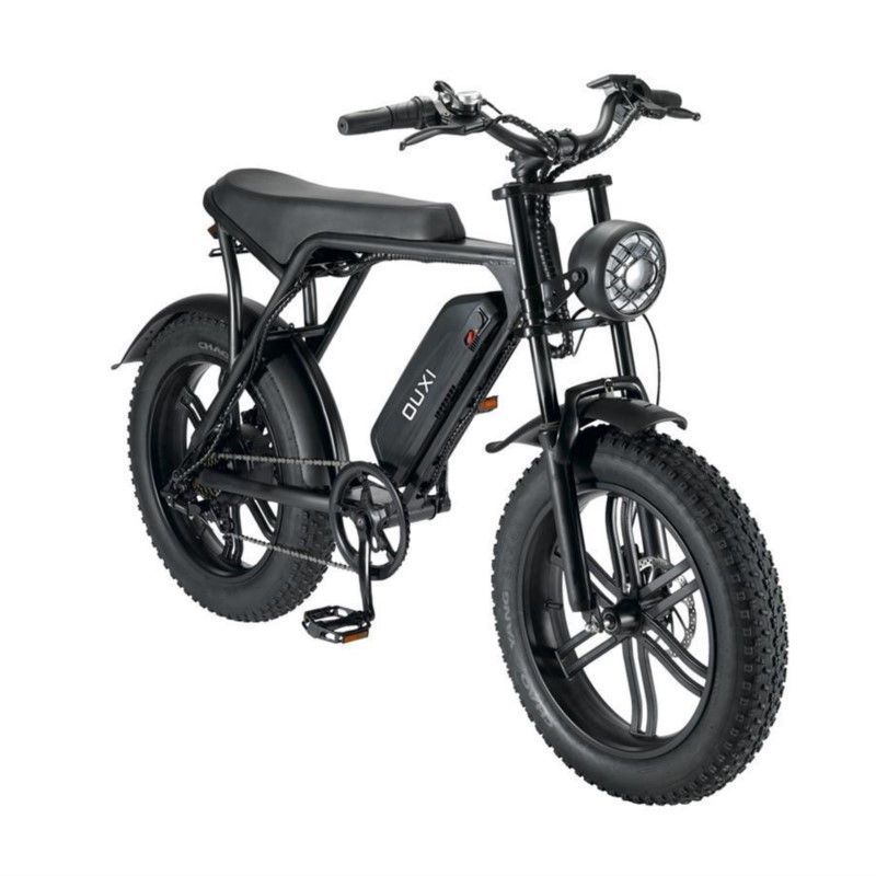20-inch Adult Male And Female Outdoor Variable-speed Folding Pedal All-terrain Off-road Snow Assisted Electric Bikes