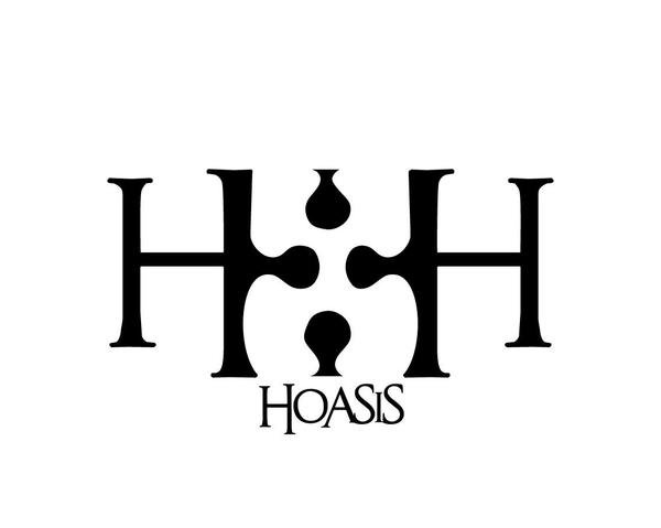 Hoasis Bags & Accessories