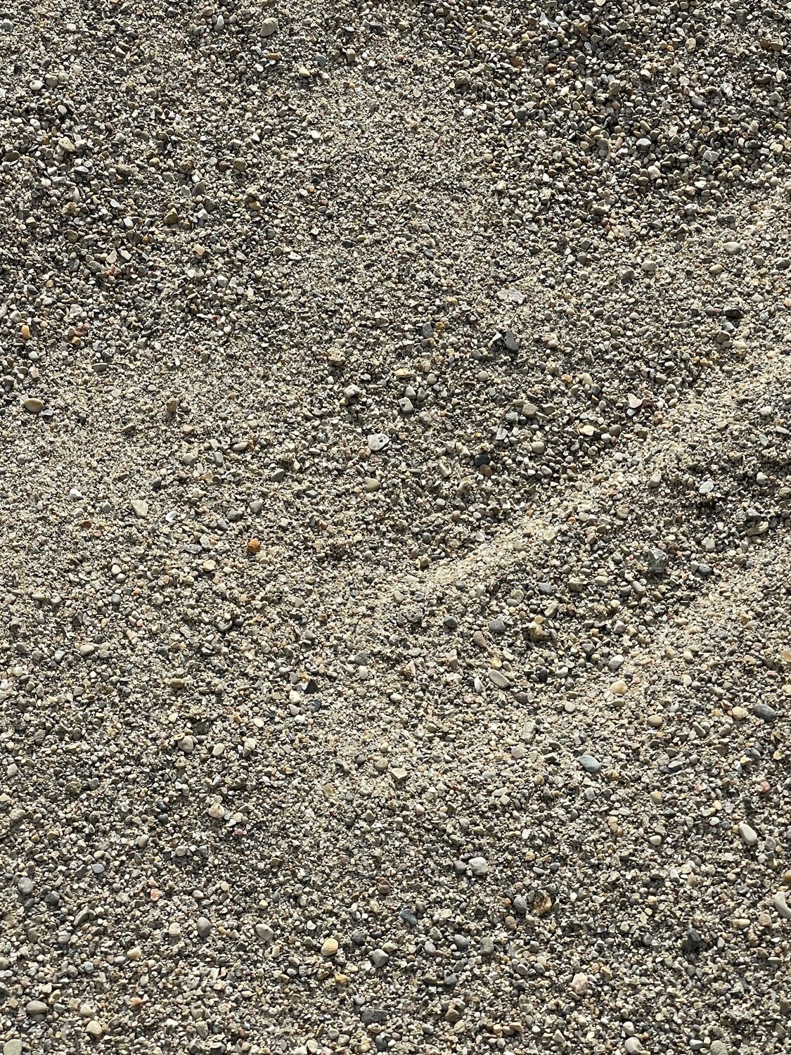 Coarse Sand (per cubic yard)