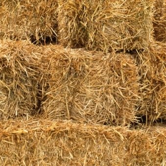 Bale of Straw