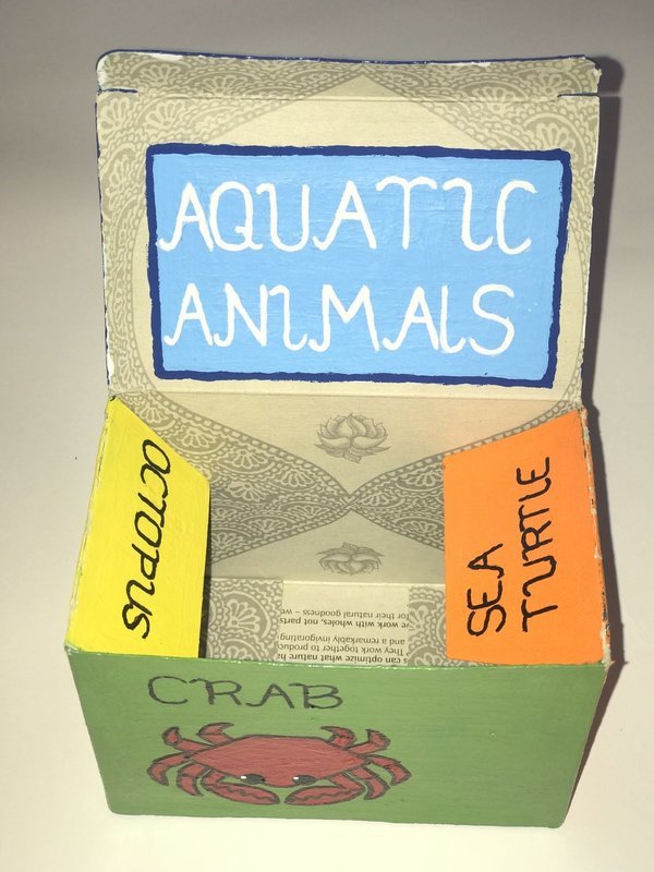 Aquatic Animals Treasure Box