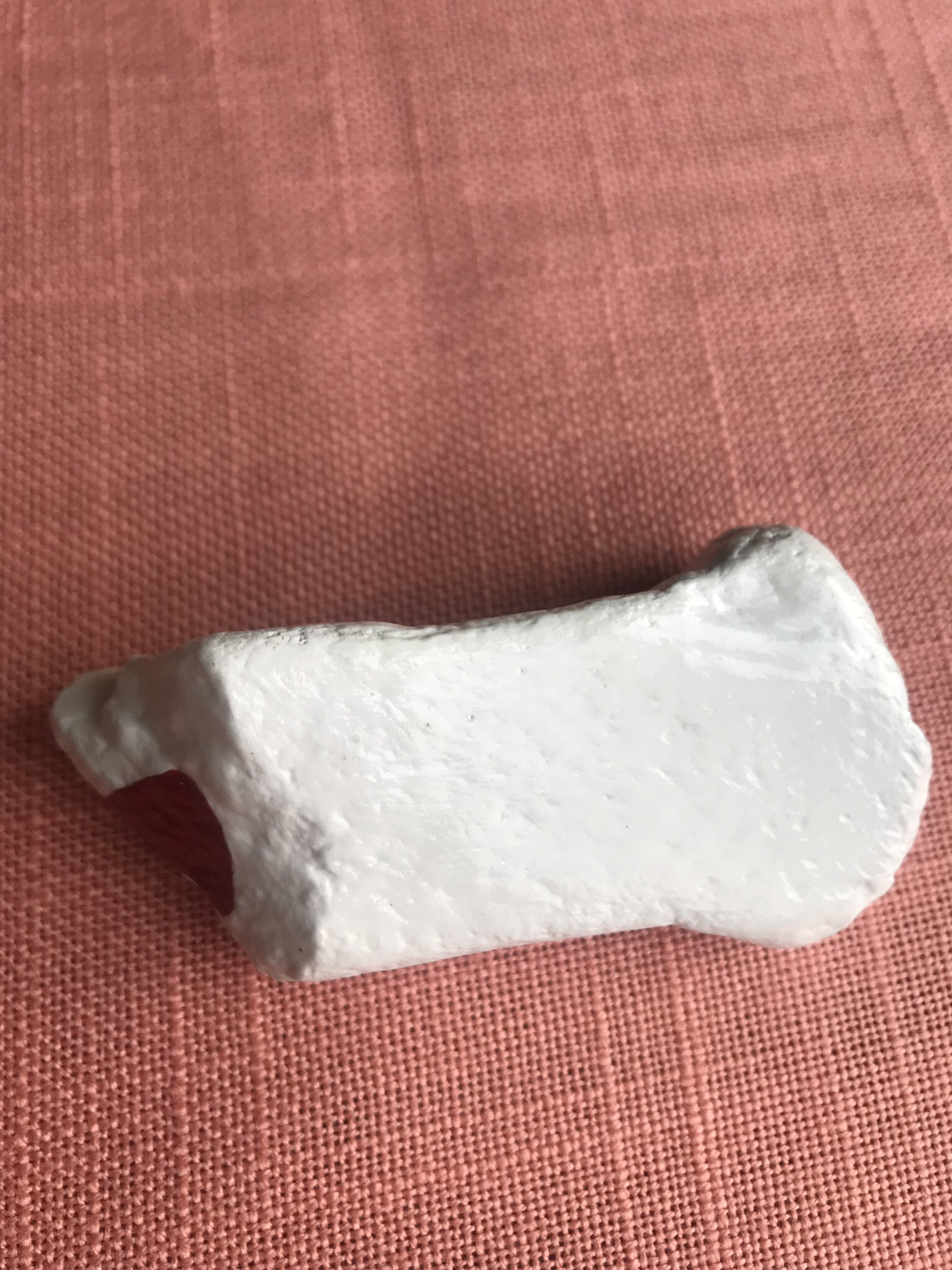 Bone Rock