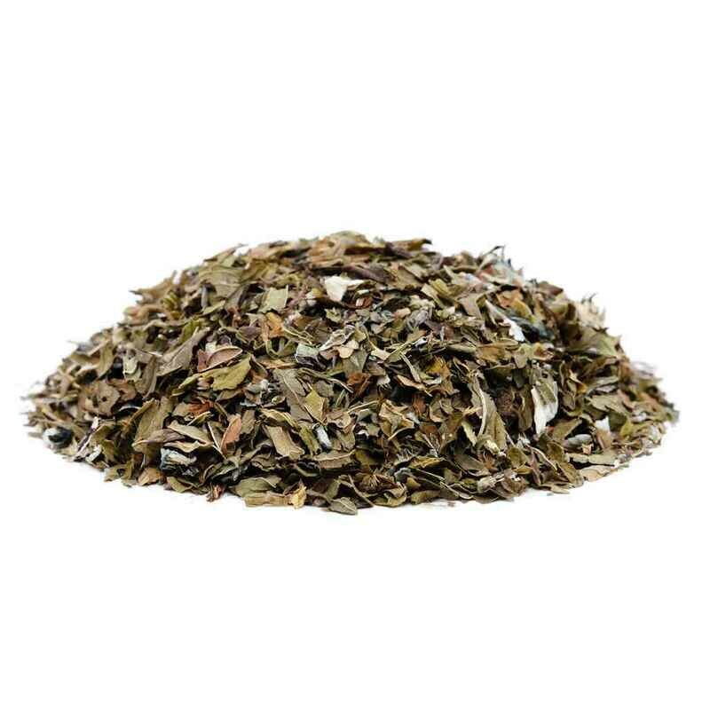 1 Gram (Psilocybin) Mint Tea By Room 920