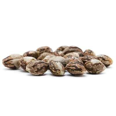 Seeds