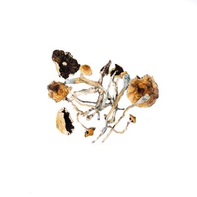 Psilocybin