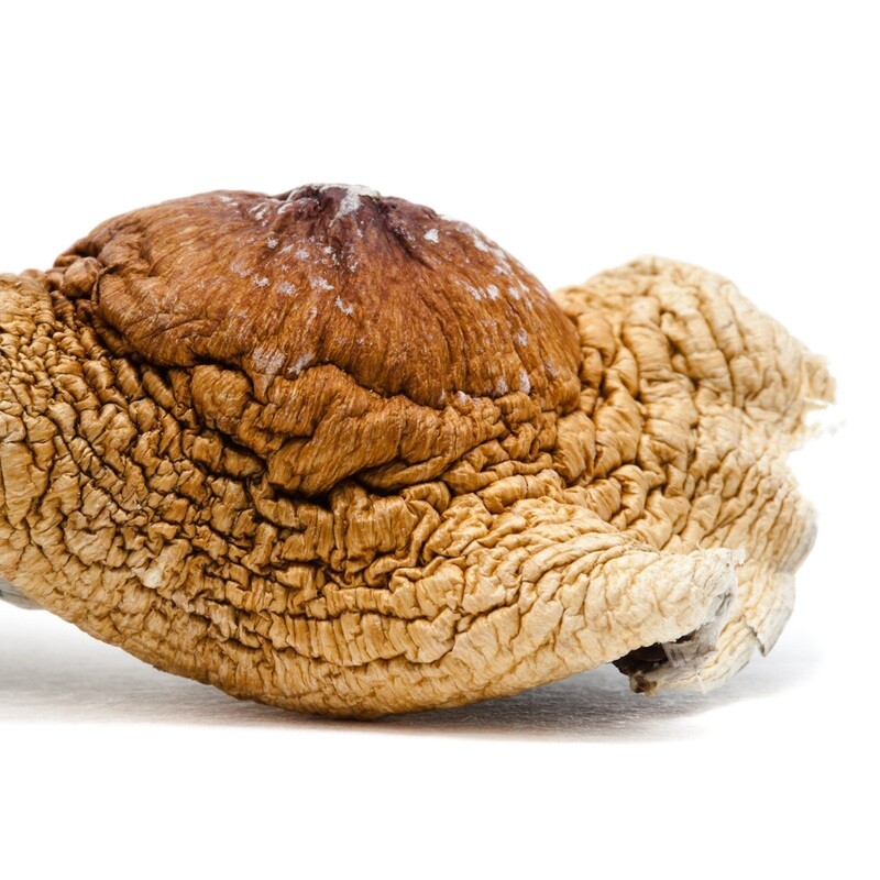 7g Albino Jedi Mind Fuck Dried Psilocybin Mushrooms