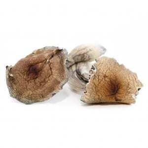 7g Vietnamese Dried Psilocybin By Room 920