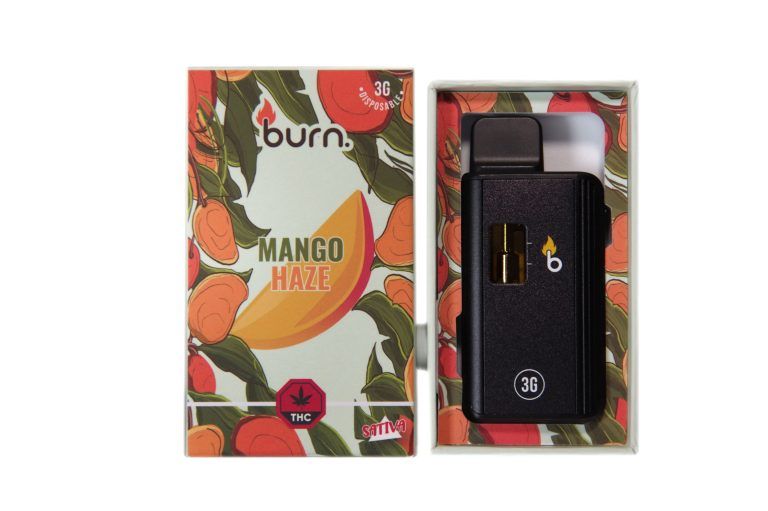 (3g) (Sativa) Mango Haze Disposable Vape By Burn