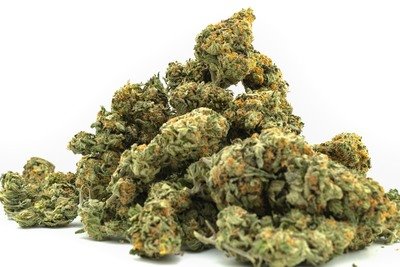 Sativa