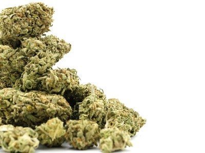 Indica