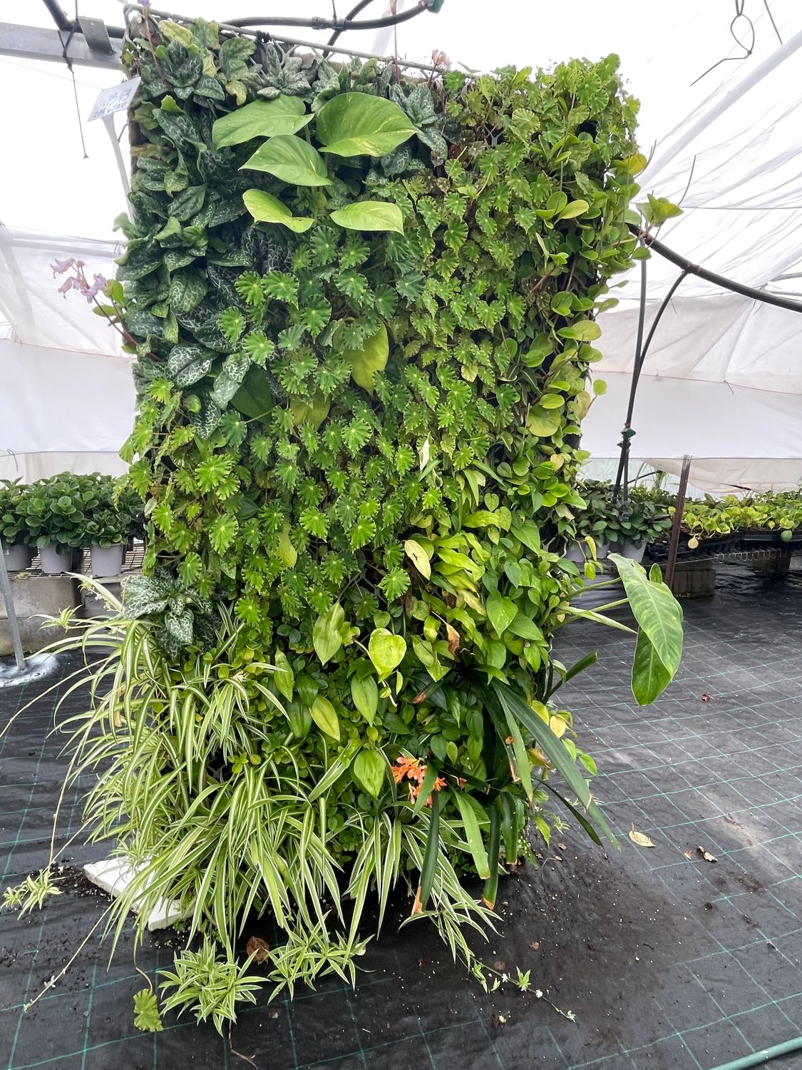 Eco Panel Portrait - best east facing or semi shade north