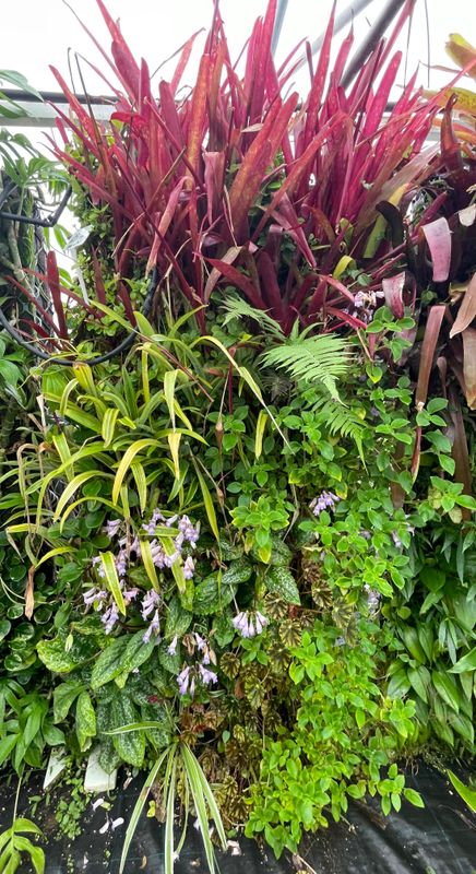 Eco Panel Portrait - best east facing exposed to rain